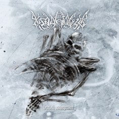 Хладновзор : Белый лабиринт (White Labyrinth) (CD, Album)